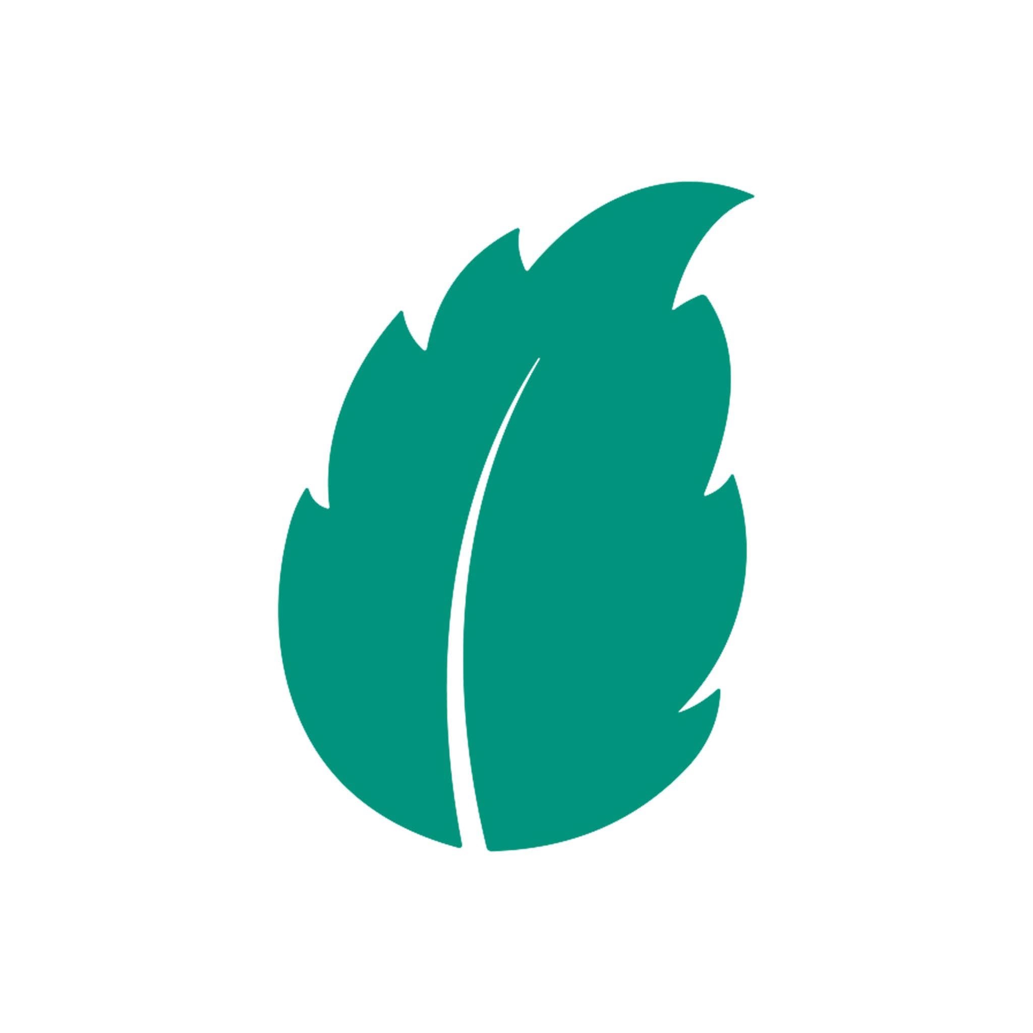 image_not_found